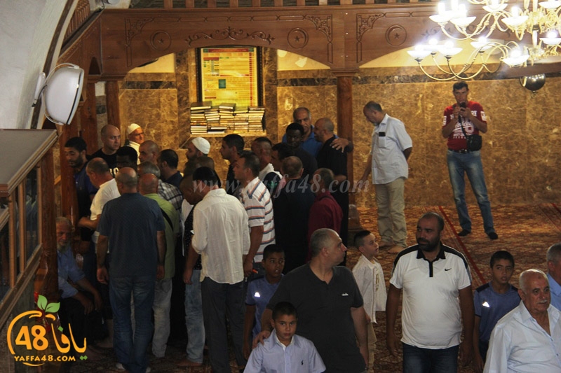 3ed ad7a mahmoudaia (24).JPG